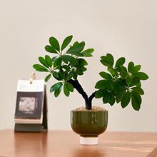 ���_ľ�˷���ؔ�͏d�k��������Gֲ��������ֲ���ļ����๤�S���l