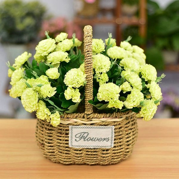 Light green carnation + oval