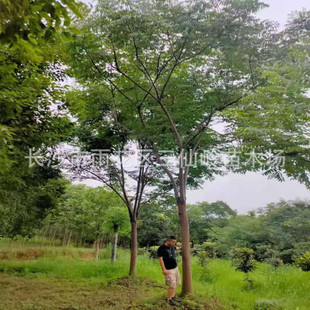 ������l ȫ�ڙ��10-15-18-20���֙����� ���r�� ������