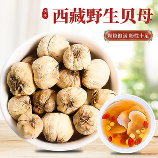 ���x ����Ұ����ؐĸ50�˲�ؐ�ķǴ�ؐ�۴�ؐĸ