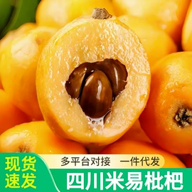 块茎类;其他水果;苹果