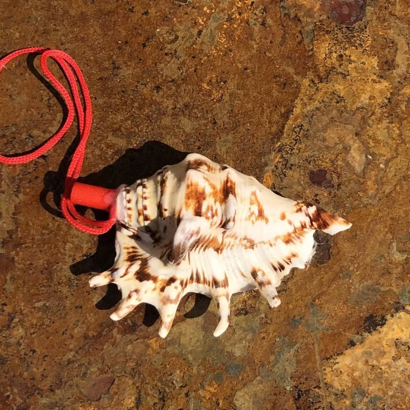 Black seven-corner snail whistle 8-10