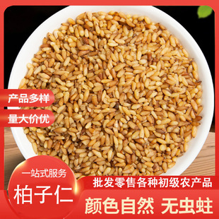 ������ �����ʰ������������ș�İ�������؛������ ɢ�b��؛���]