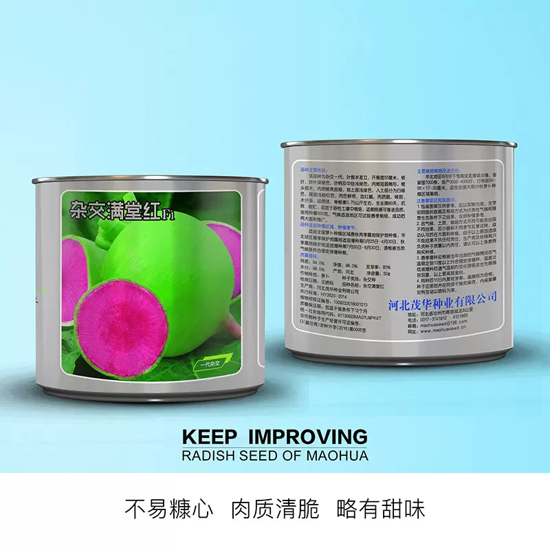中科茂华蔬菜种子杂交满堂红心里美萝卜种子绿皮红芯抗裂萝卜種子