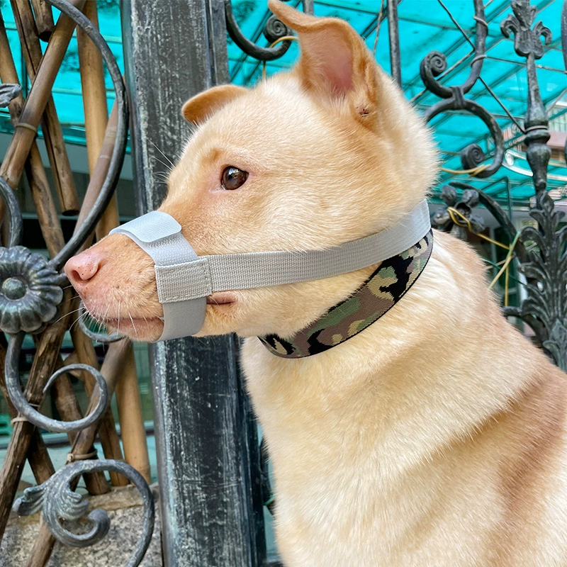 Собачий рот против укусов