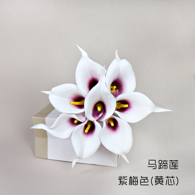 칼라 릴리-보라색 자두색(노란색 코어)