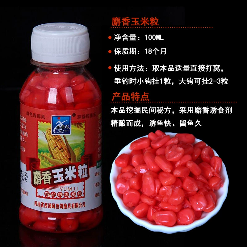 西部风 VB corn grain musk wheat granules granulite fishing bait ingredients fishing lake Kuen corn bottom nest ingredient bait