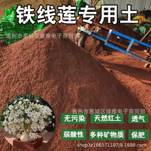 �F��ɏ�t����Ȼ�����w�����Gֲ���Ԍ��������V��I�B���B���t����