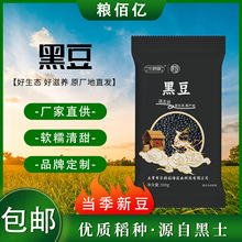 东北绿心黑豆批发500克真空包装绿芯可发芽豆浆原料五谷杂粮粗粮