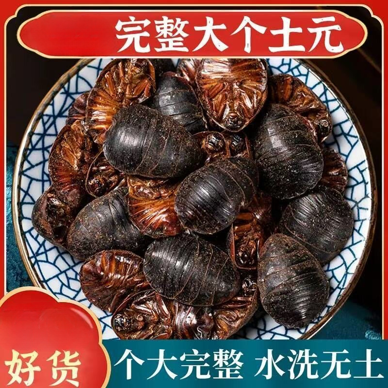 Dried Ground Beetle Tu Bie Chong 500g Wild-Caught Whole Insect TCM Herbal Ingredient for Decoction Use overview