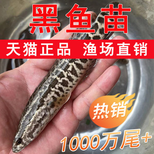 �ش���~����k���s��С���~���Bֳ�^�pؔ�~�絭ˮ���w���~�����l
