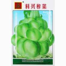 ����ե�˷N�ӷN���Ĵ��ش���^�˽���ļ��߲˷N���ݽ�˷N�ѷN