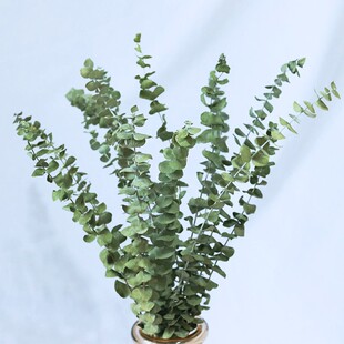 �ȼ����~�ɻ�������diy�����ֹ������滨�������޲廨�bҾ��b