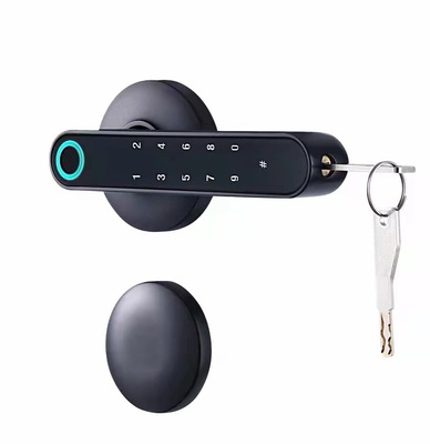 Door for household use Office Door handle Fingerprint lock replace Ball Door lock Graffiti APP password Bluetooth key Unlock