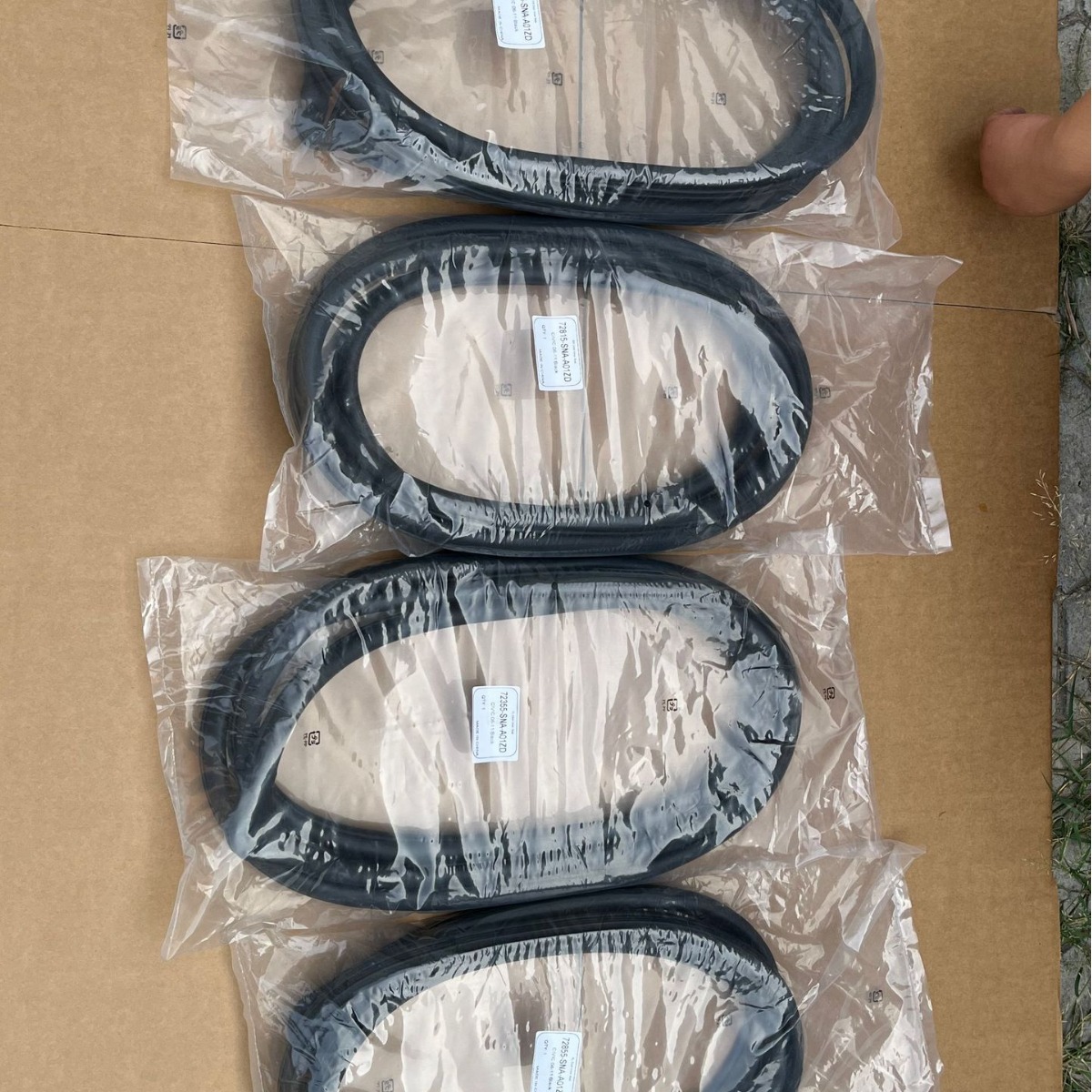 2023-10-10 18:50:26.jpg