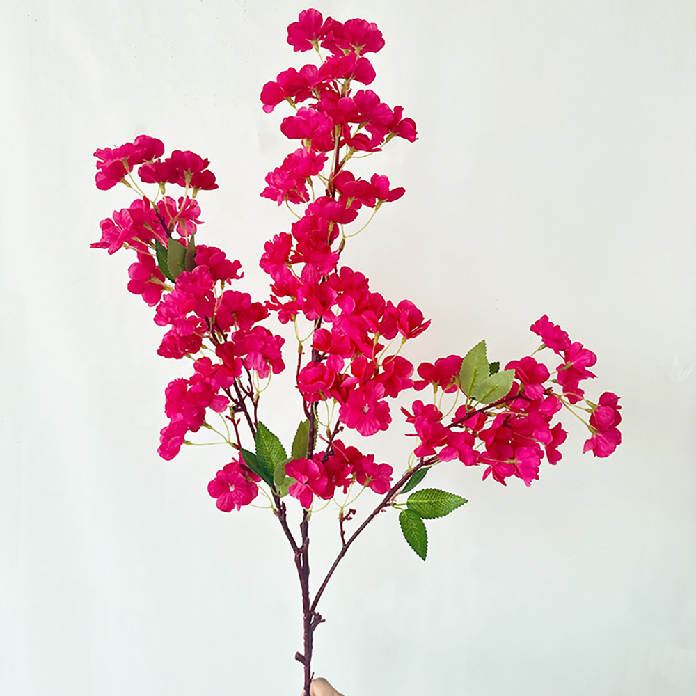 새로운 목가적 벚꽃 큰 가지 로즈 레드