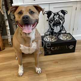 跨境新爆款Personalized dog food bowl holder 狗粮碗架金属工艺