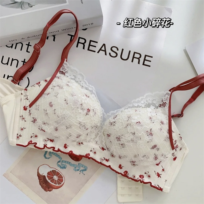Japanese-Style Wireless Bra for Women with Small Busts, Push-Up and Lift Bra, Beautiful Back, Sexy, Side Breast Adjustment, Adjustable Bra Set