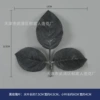 Black rose leaf