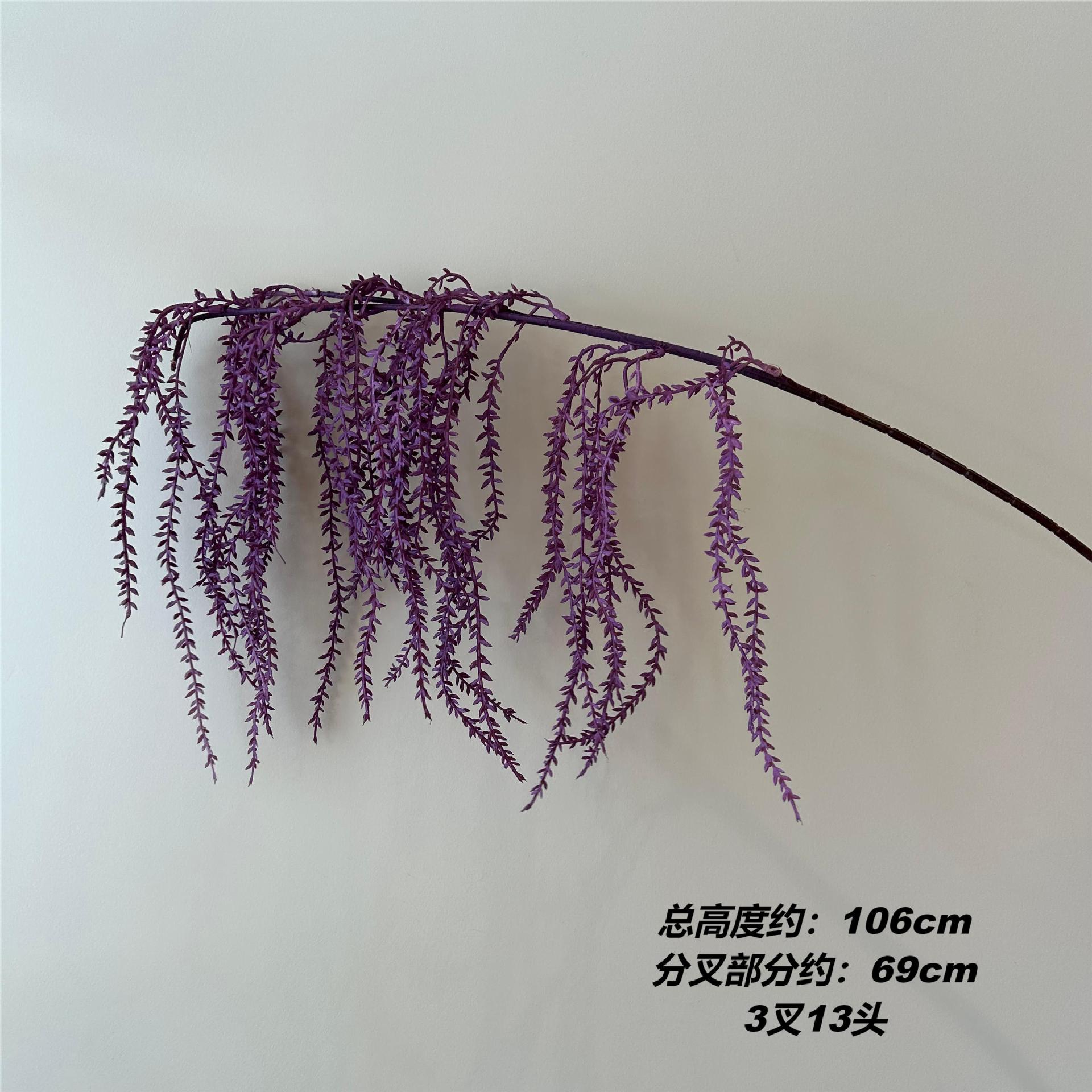 DT 연인의 눈물