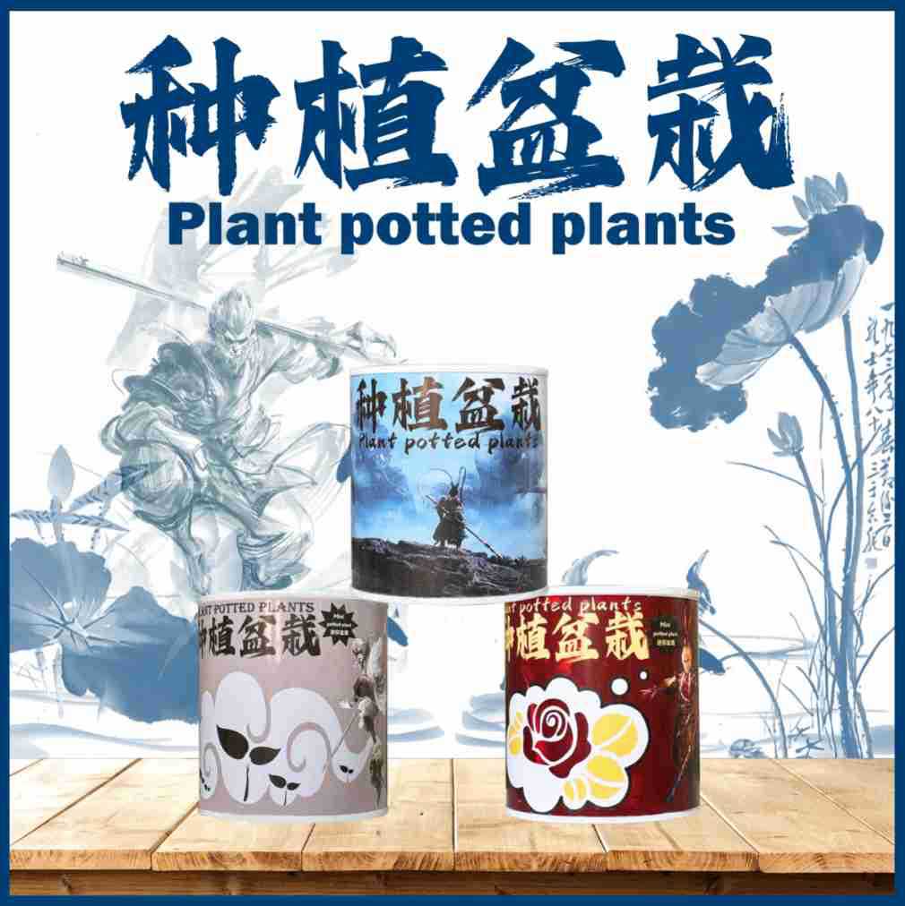 悟空黑神话桌面摆件种植盲盒 DIY毕业礼物种植盆栽网红祝福盆栽