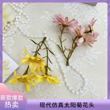 �tɫϵ���滨�ٻ�̫ꖾ�С�r�ջ�����diy�������ϝh�������^���