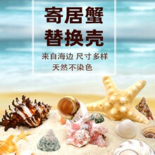 �ľ�з��Q�����Ȼ��ڏ���߅���b�ؐ��������С̖��̖�ۿ�