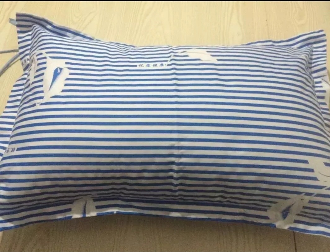 블루 스트라이프 건강한 패턴 베갯잇