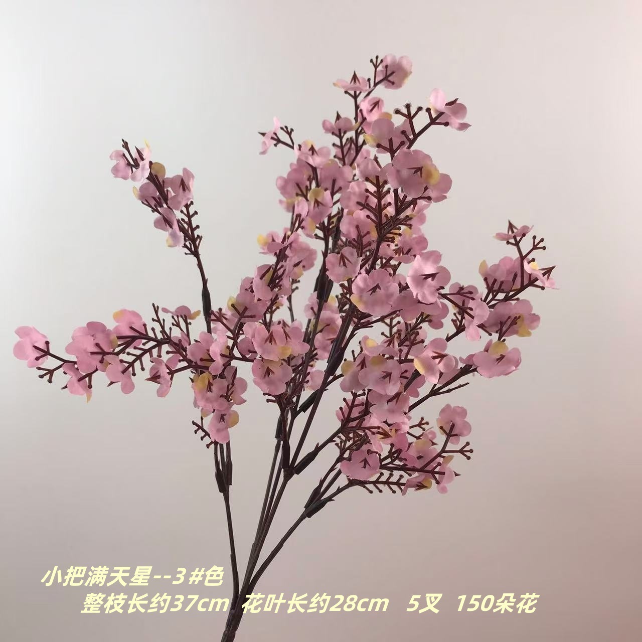 작은 안개꽃 3#색깔