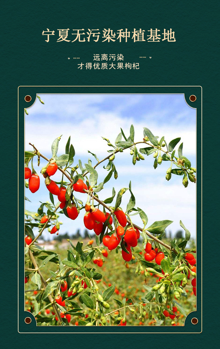 Ningxia Premium Dried Goji Berries 500g Gou Qi Zi Wolfberry Fruit quality and texture