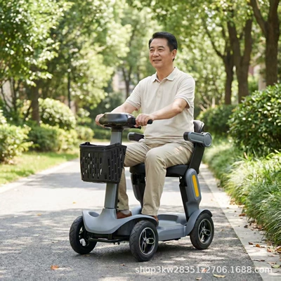 Qatlanan elektrik velosipedlər, Cross-border leisure vehicle