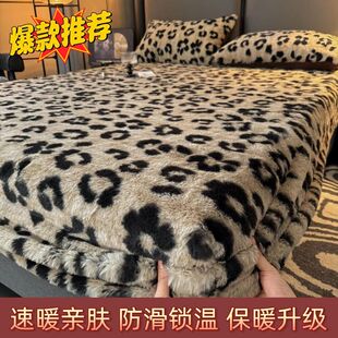 �Ӻ���ë�q���������׶����¿�ӽq��ů���|���o��ȫ�����m�ִ���