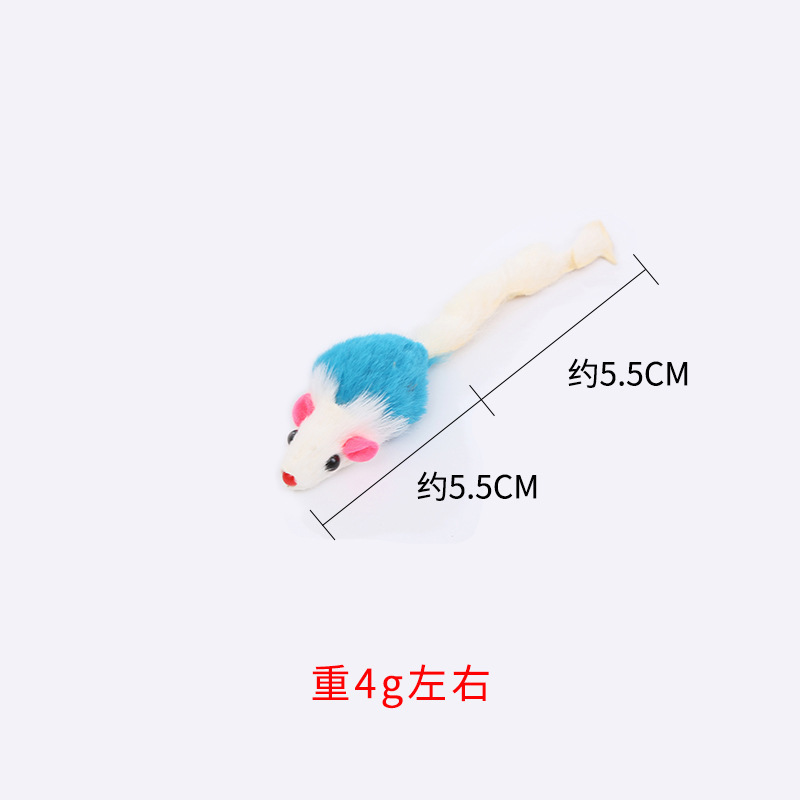 흰색 파란색