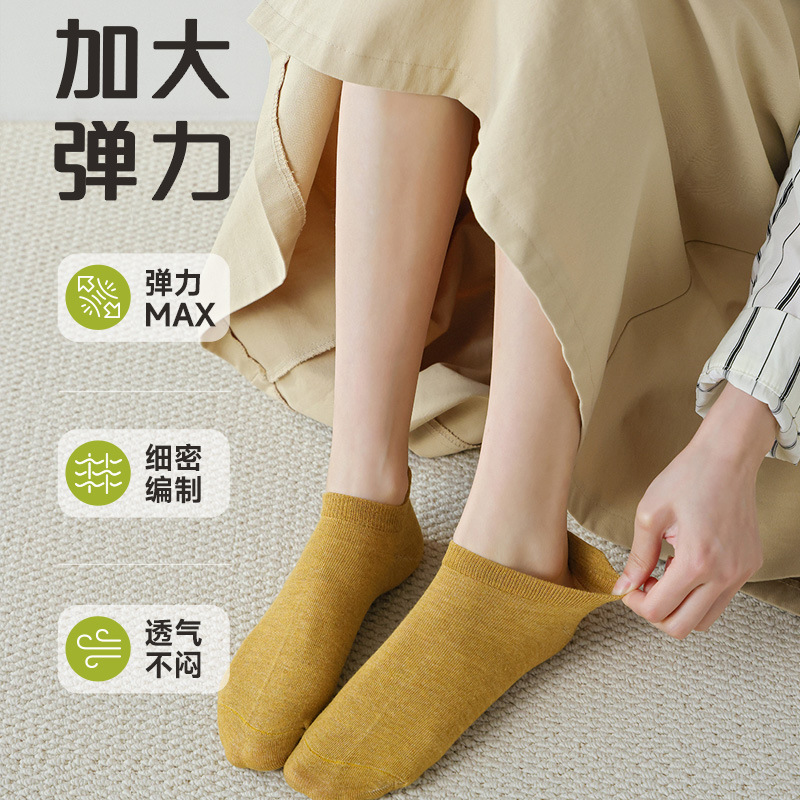 Socks