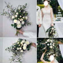 �⾰���ĔzӰ ɭϵ������ �L�UС�����Ĕz �nʽ �����Y������