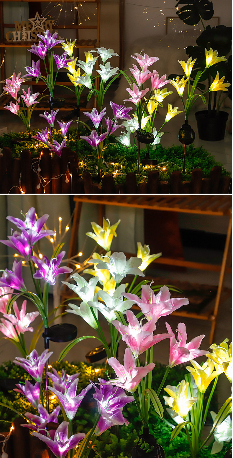 2_13.jpg?x-oss-process=image/format,png