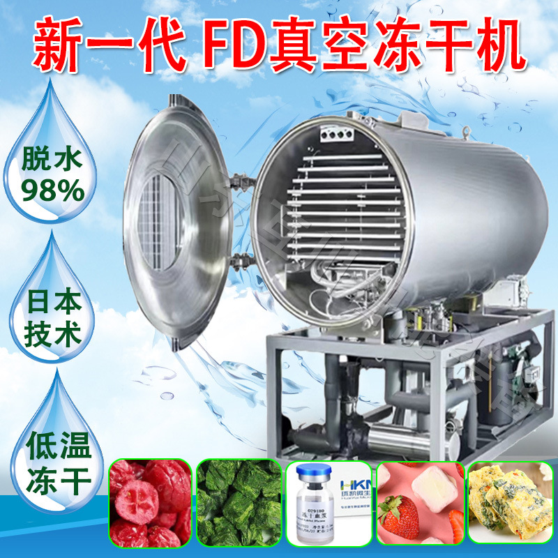 商用泰国金枕榴莲肉大型FD冷冻干燥机 马来西亚猫山王榴莲冻干机