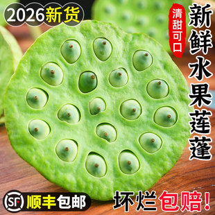 ���rˮ��ɏ��3�ﮔ���Fժ��ɏ��������ɏ����̫��ɏ�߲���S���]