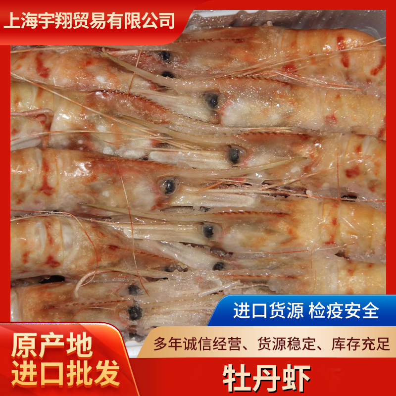 俄罗斯牡丹虾 刺身寿司日式料理海鲜自助餐厅甜虾 白牡丹虾