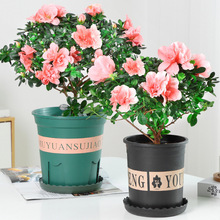 �����Ϙ����玧�����҃����ļ��_�����B���ͺ������Gֲ����
