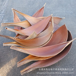 �ɿ��~����Ȼ��֦�ɹ��ɚ��b廨�ҾӔ[�Oֲ��˱�diy�������~