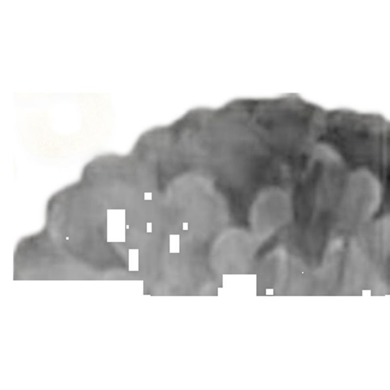 Black Golden Onion Flash Moving Banners Decoración de la fiesta de movimiento