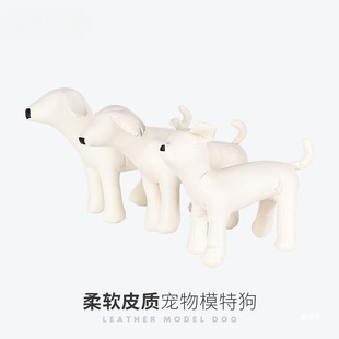 �S�����l�F؛����ģ�ط��bչʾ����ģ�͵���������СȮ�V�|