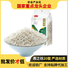 燕の坊長のもち米の白もち米の五穀の雑穀の粗食のもち米はちまきの菓子の原料の栄養の江米の1kgを包みます