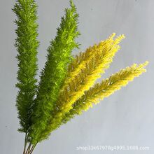 ��β���T�������҃�ͥԺ���@�̨�Gֲ�ļ������͟��ͺ����ܾ�β��