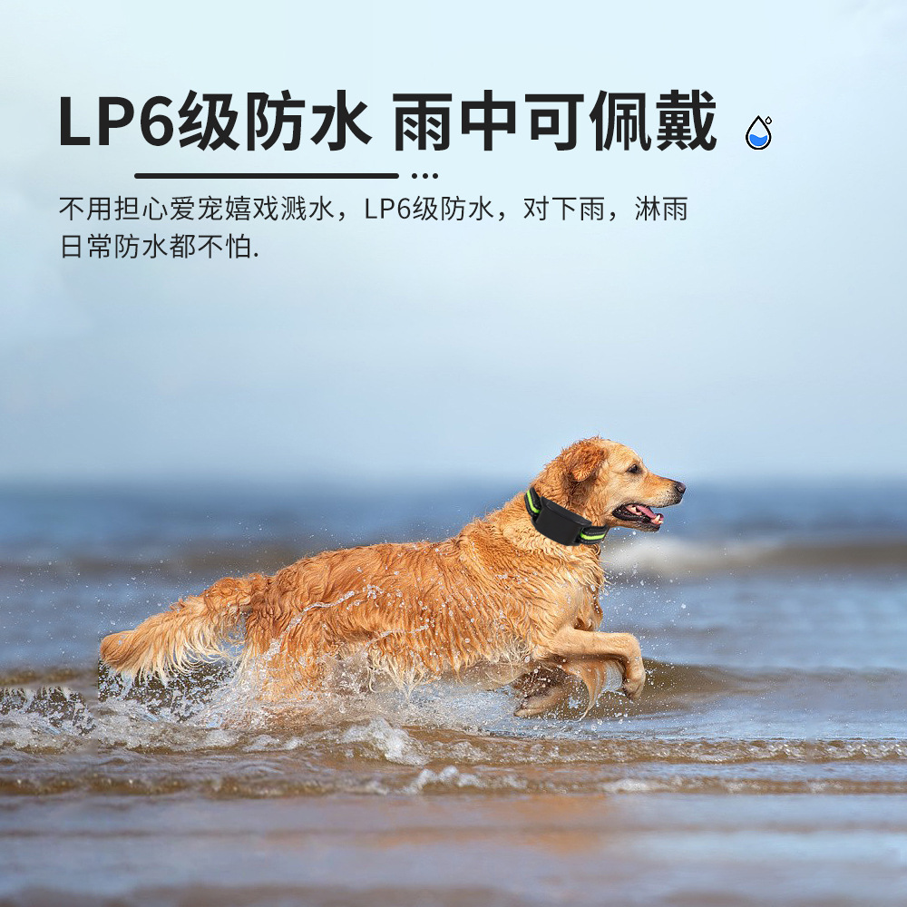 详情 (6).jpg