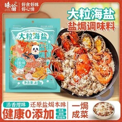 大粒海盐盐焗调味料 海鲜盐焗鸡海燕大颗粒盐焗料香料
