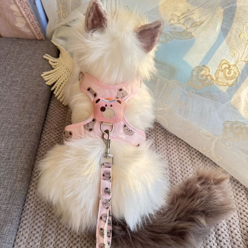 猫咪牵引绳背心挣脱外出遛猫绳子小型专用链子调节宠物背带狗狗|undefined