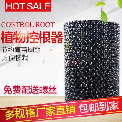 gardens Control Root green Fruit-bearing forest Transplanting engineering water uptake Plastic Control Root Container ventilation