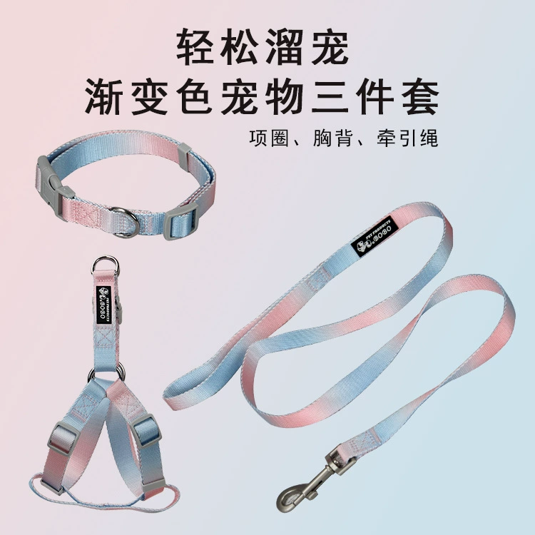 Поводок для домашних животных Градиент Поводок для собак Тяговый костюм Ошейник нагрудный ремень для собак Маленький и средний размер Цепь для собак